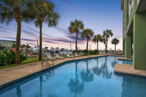Navy Cove 1204